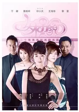 电视剧《女才男貌》剧情介绍