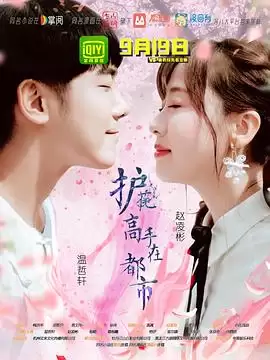 电视剧《护花高手在都市》剧情介绍
