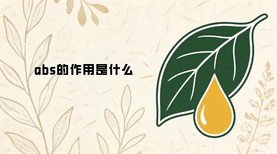 abs的功用是什么