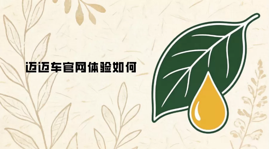 迈迈车官网使用体验怎样