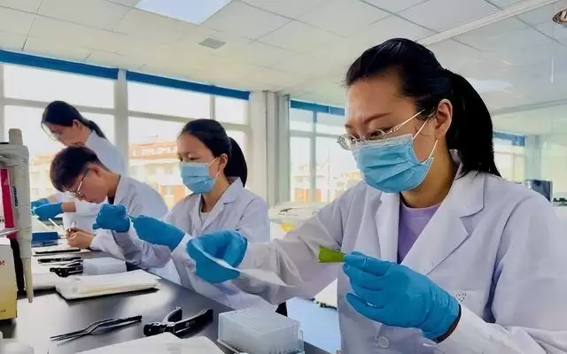 吉林省成功研发首个玉米全基因组育种芯片并投入使用