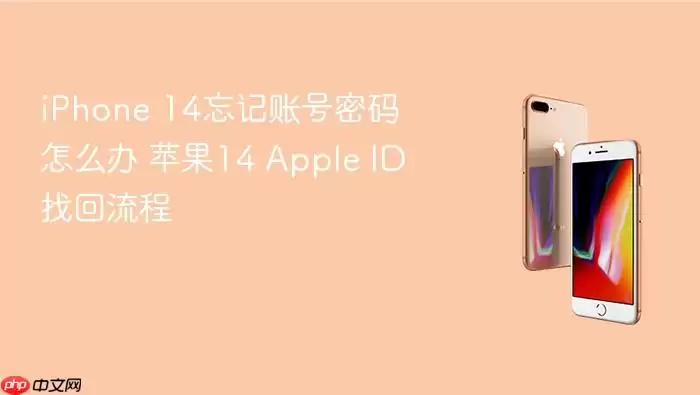 iPhone 14忘记账号密码怎么办 苹果14 Apple ID找回流程