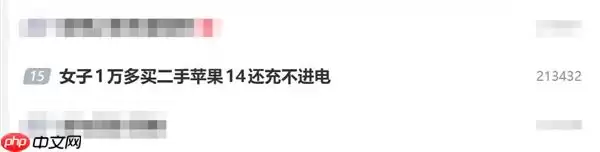 女子1万多买二手苹果iPhone 14却充不进电：买了个残次品