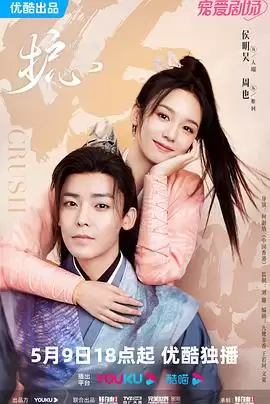 电视剧《护心》剧情梗概
