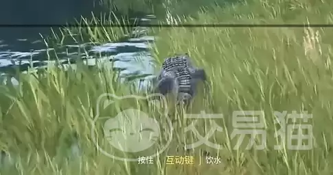 龙岛异兽起源神秘图腾解锁方法及全流程攻略