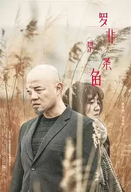 电影《罗非是条鱼》剧情介绍