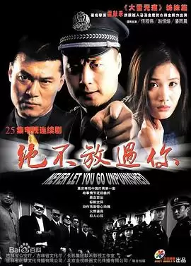 电视剧《绝不放过你》剧情介绍