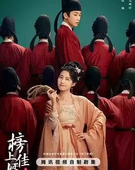 电视剧《榜上佳婿》剧情介绍