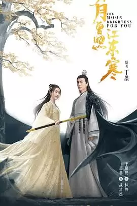 电视剧《明月曾照江东寒》剧情介绍