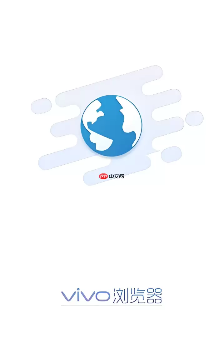 vivo浏览器为何不能加载某些特定格式的图片？