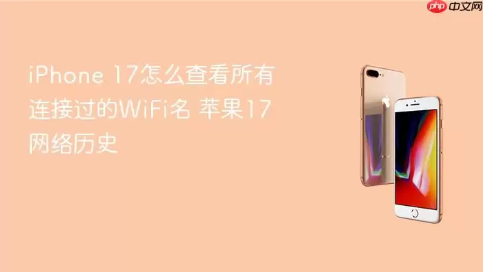 iPhone 17如何查看所有连接过的WiFi名 苹果17网络历史