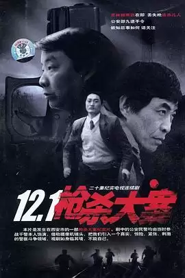 电视剧12·1枪杀大案剧情介绍