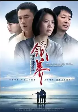《领养》电视剧剧情介绍