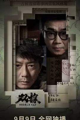 电视剧《双探》-剧情介绍