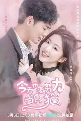 电视剧《今天也要努力当只猫》剧情介绍