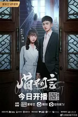 电视剧《喵不可言》剧情简介
