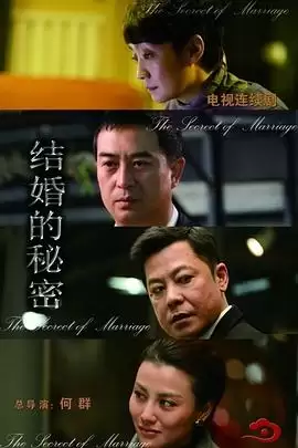 《结婚的秘密》电视剧剧情介绍