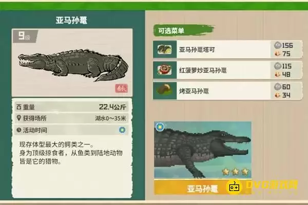 《潜水员戴夫》亚马孙鳄钓取位置-丛林DLC亚马孙鼍图鉴钓鱼点钓鱼时间方法