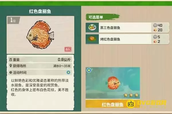 《潜水员戴夫》红色盘丽鱼在哪钓-丛林DLC红色盘丽鱼图鉴钓鱼点钓鱼时间方法