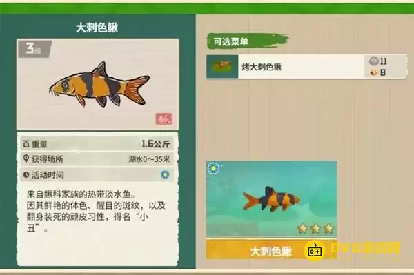 《潜水员戴夫》大刺色鳅在哪里钓-丛林DLC大刺色鳅图鉴钓鱼点钓鱼时间方法