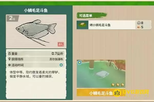 《潜水员戴夫》丛林DLC钓鱼丛林RPG部分鱼类大全-钓鱼丛林RPG部分全鱼类图鉴
