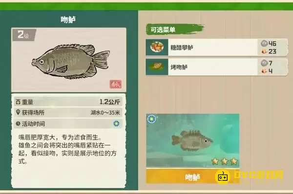 《潜水员戴夫》吻鲈钓点位置-丛林DLC吻鲈图鉴钓鱼点钓鱼时间方法