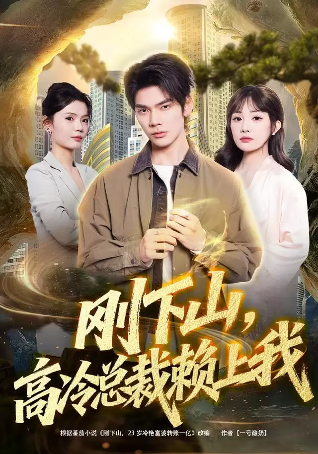 短剧《刚下山，高冷总裁赖上我》剧情介绍