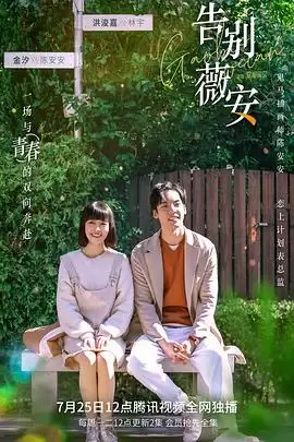 电视剧《告别薇安》剧情介绍