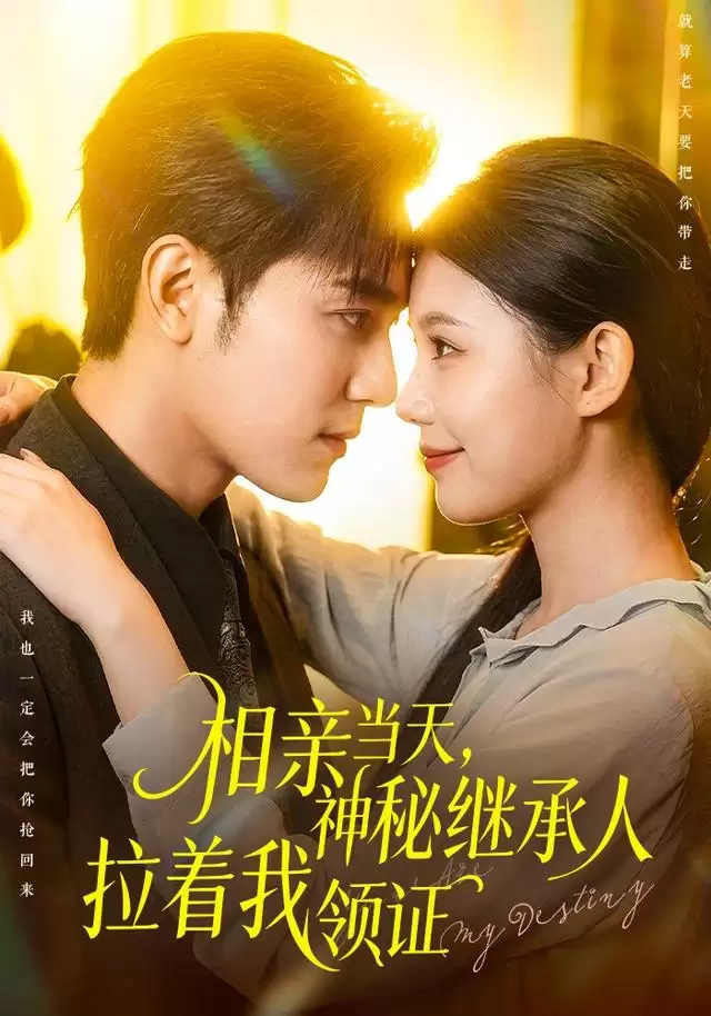 短剧《相亲当天：神秘继承人拉着我领证》剧情介绍