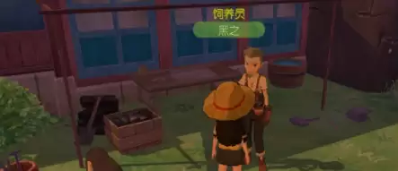 小森生活村长好感度提升办法与实用技巧大全