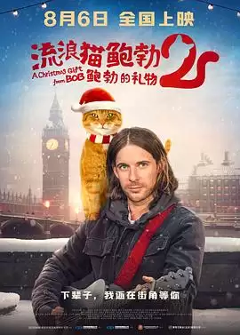 剧情介绍：电影《流浪猫鲍勃2：鲍勃的礼物》