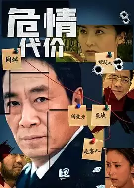 电视剧《危情代价》剧情介绍