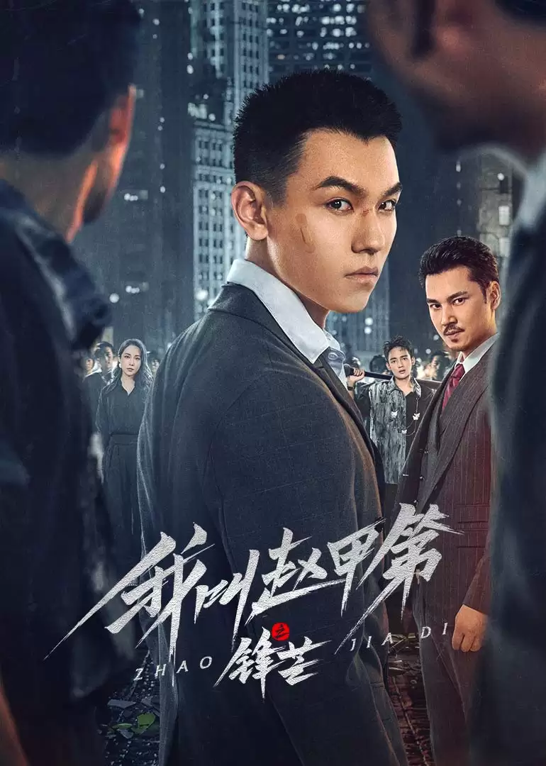 电视剧《我叫赵甲第之锋芒》：剧情介绍