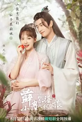 《薛小冉的古代搭伙之旅》电视剧剧情介绍