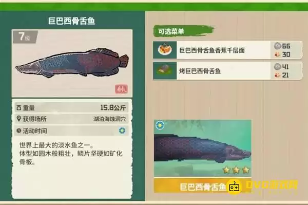 《潜水员戴夫》3星巨巴西骨舌鱼钓取指南-3星巨巴西骨舌鱼获得方法