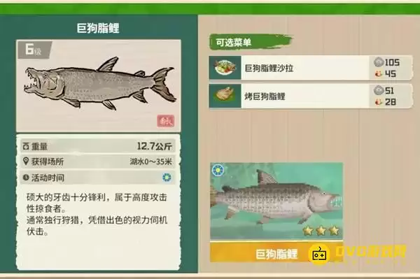《潜水员戴夫》巨狗脂鲤钓鱼地点-丛林DLC巨狗脂鲤图鉴钓鱼点及时间方法