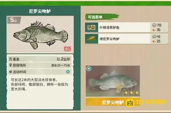 《潜水员戴夫》三星尼罗尖吻鲈怎么钓-3星尼罗尖吻鲈获得钓取方法