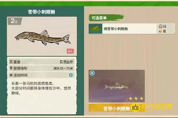 《潜水员戴夫》苍带小刺眼鳅在哪里钓-丛林DLC苍带小刺眼鳅图鉴钓鱼点钓鱼时间方法