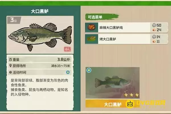 《潜水员戴夫》大口黑鲈在哪儿钓-丛林DLC大口黑鲈图鉴钓鱼点钓鱼时间方法