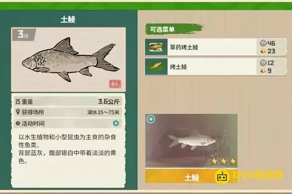 《潜水员戴夫》土鲮在哪钓-丛林DLC土鲮图鉴钓鱼点钓鱼时间方法