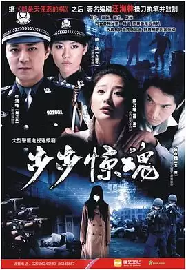 电视剧《步步惊魂2008》剧情介绍