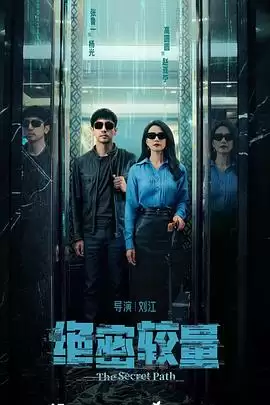 电视剧《绝密较量》剧情介绍