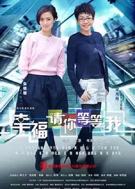 电视剧《幸福请你等等我》剧情介绍