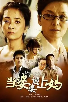 电视剧《当婆婆遇上妈》剧情介绍