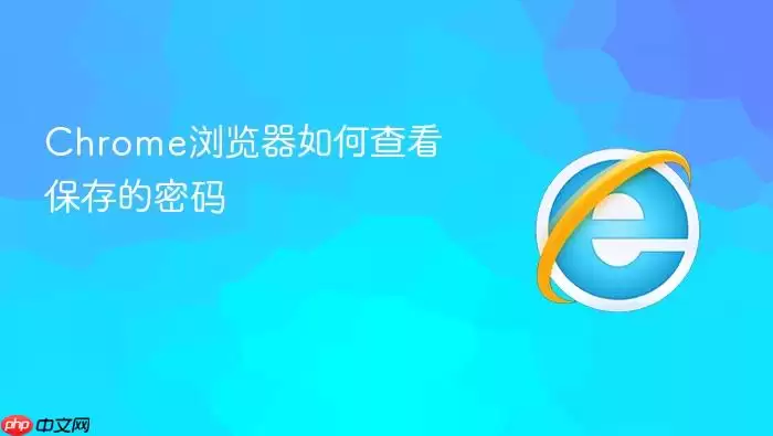 Chrome浏览器如何查看已保存密码