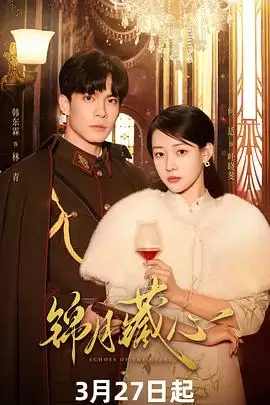 《锦月藏心》电视剧剧情介绍