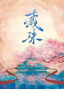 《藏珠》电视剧剧情介绍