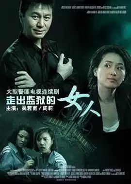 电视剧走出监狱的女人剧情介绍