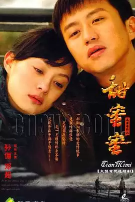 电视剧甜蜜蜜2007剧情介绍