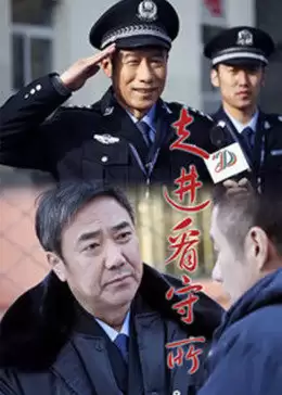 电视剧《走进看守所》剧情介绍